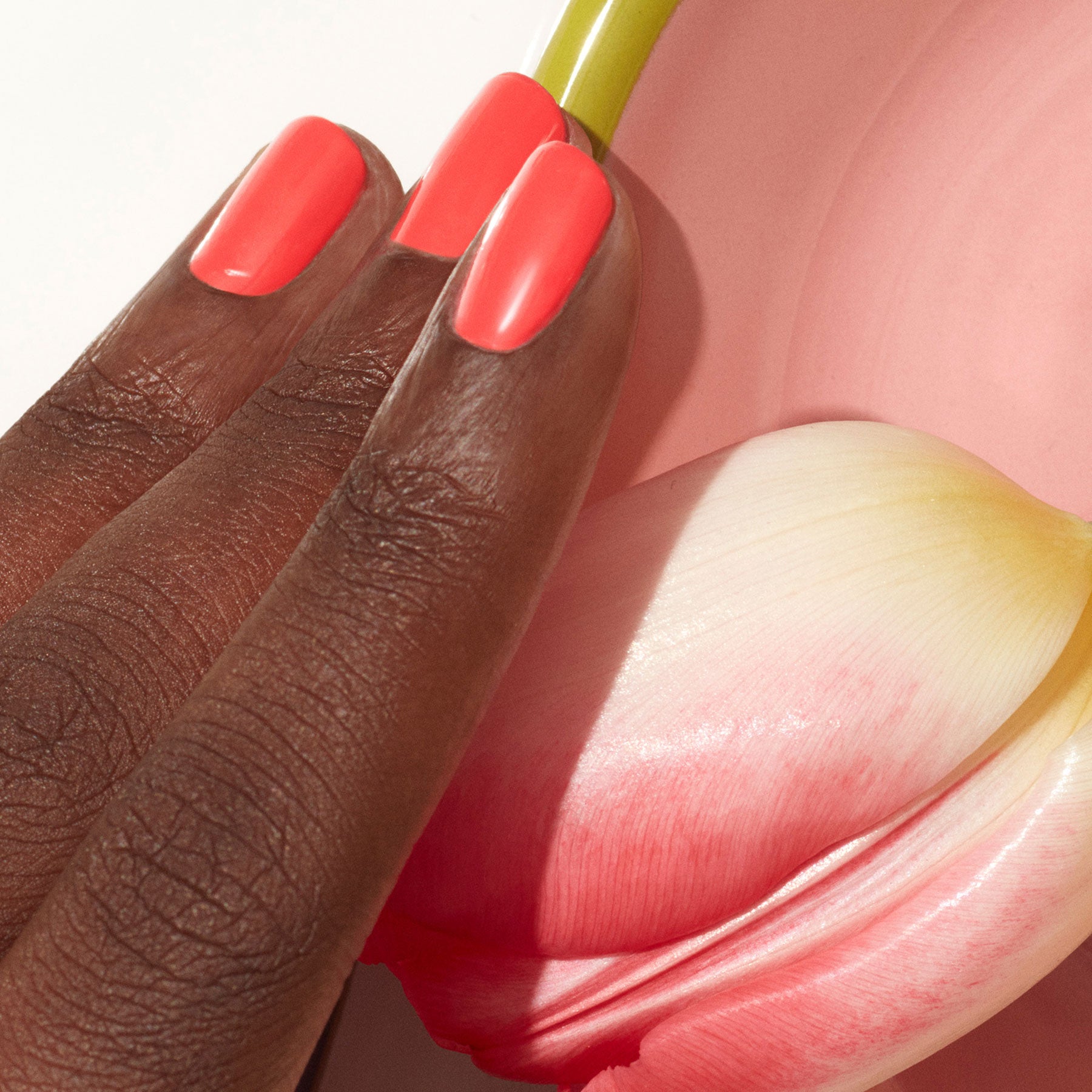 PAINT NAIL BAR St. Pete - On a journey for stronger, healthier, and longer  nails? No problem! Sculpted gel nails are the healthier and modern  alternative to acrylic nails. 🇽 No Formaldehyde,
